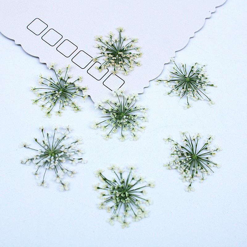 Resin Art Baby - 500 Buah Bunga Renda Bunga Kering