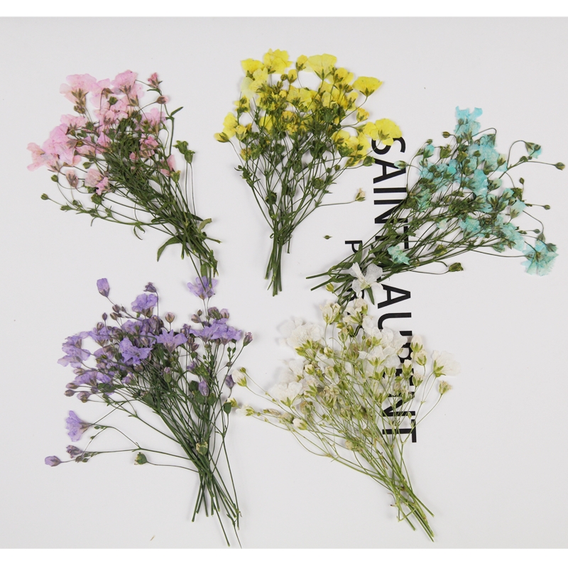 250 Buah Cerminium Bunga Gypso - Resin Art Baby ulasan dan harga