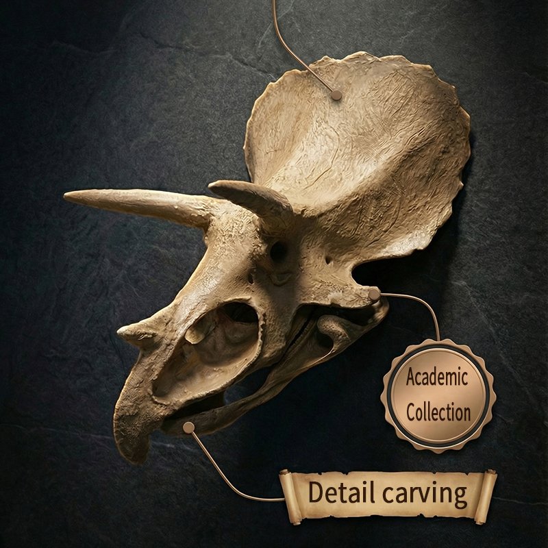 Model Tengkorak Triceratops, R - Resin Art Wallpaper ulasan dan harga