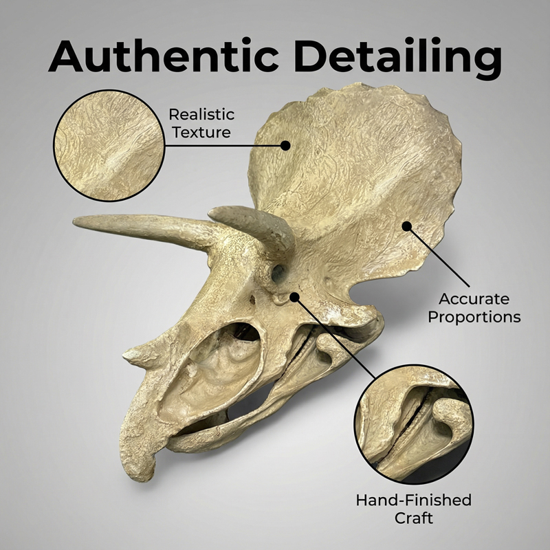 Model Tengkorak Triceratops, R - Resin Art Wallpaper ulasan dan harga