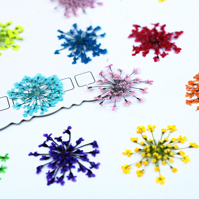 500 Buah Bunga Renda Bunga Ker - Resin Art Baby ulasan dan harga