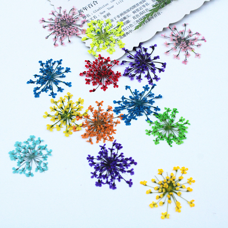 500 Buah Bunga Renda Bunga Ker - Resin Art Baby ulasan dan harga